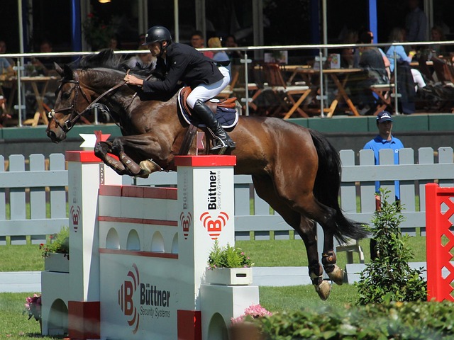 他着重强调 他着重强调