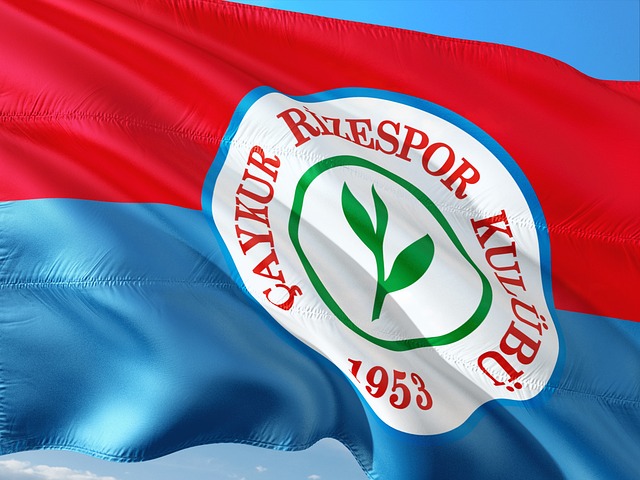 对库巴西队 对库巴西队