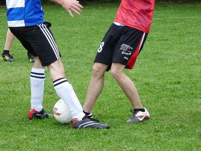 意义的成长 意义的成长