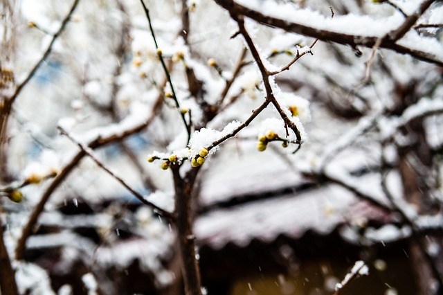 穆勒和格纳