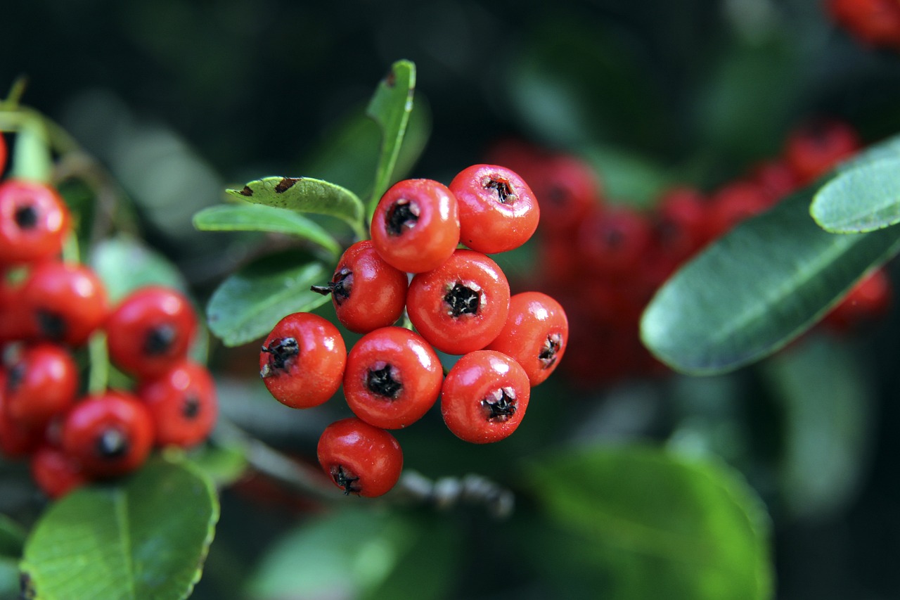 没有任何奖 没有任何奖