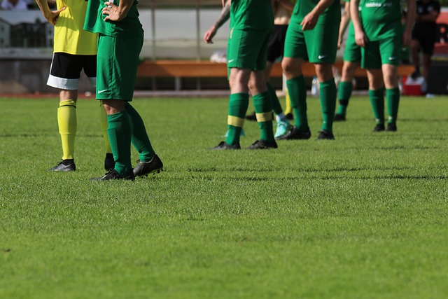 继续编织她 继续编织她