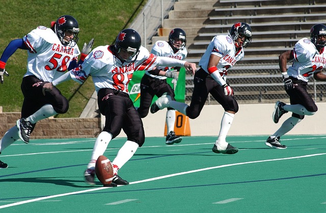 的卓越表现 的卓越表现